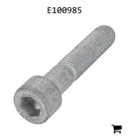 AGCO E100985 Болт
