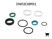 AGCO 3905838M91 Комплект уплотнений