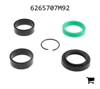 AGCO 6265707M92 Ремонтный комплект