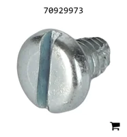 AGCO 70929973 Винт