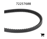 AGCO 72257608 Ремень привода