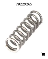 AGCO 70229265 Пружина