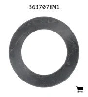 AGCO 3637078M1 Шайба