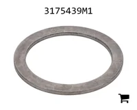 AGCO 3175439M1 Шайба