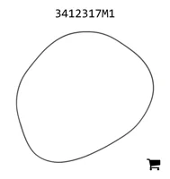 AGCO 3412317M1 Уплотнительное кольцо
