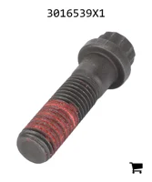 AGCO 3016539X1 Винт с 12-гранной фланцевой головкой