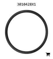 AGCO 3010428X1 Уплотнительное кольцо скребка