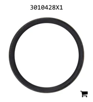 AGCO 3010428X1 Уплотнительное кольцо скребка