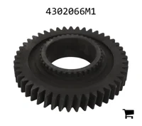 AGCO 4302066M1 Шестерня