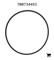 AGCO 700734493 Уплотнительное кольцо