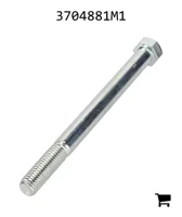 AGCO 3704881M1 Болт с шестигранной головкой