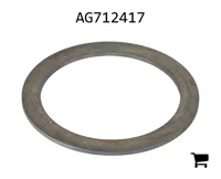 AGCO AG712417 Шайба