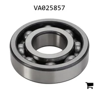 AGCO VA025857 Шариковый подшипник
