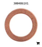 AGCO 3004861X1 Уплотнительное кольцо