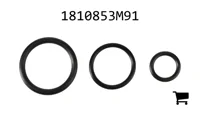 AGCO 1810853M91 Комплект уплотнений