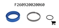 AGCO F260920020060 Ремкомплект