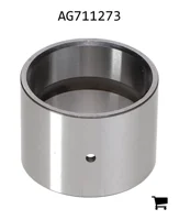 AGCO AG711273 Игольчатый подшипник