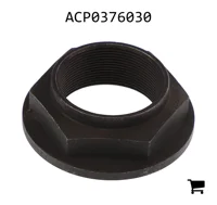 AGCO ACP0376030 Регулировочная гайка