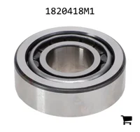 AGCO 1820418M1 Конический подшипник