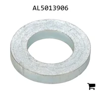 AGCO AL5013906 Шайба