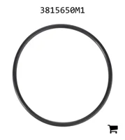 AGCO 3815650M1 Уплотнительное кольцо гидромуфты