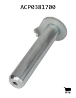 AGCO ACP0381700 Палец