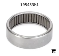 AGCO 195453M1 Игольчатый роликовый подшипник