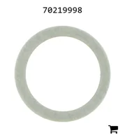 AGCO 70219998 Прокладка