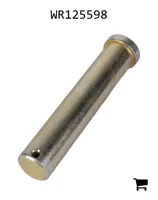 AGCO WR125598 Палец вилки