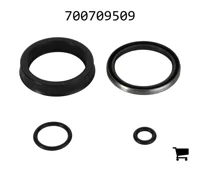 AGCO 700709509 Ремкомплект