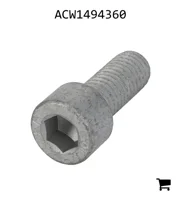 AGCO ACW1494360 Установочный винт с шестигранной головкой
