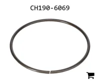AGCO CH190-6069 Стопорное кольцо