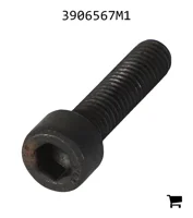 AGCO 3906567M1 Винт