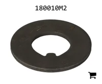 AGCO 180010M2 Шайба