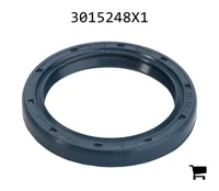 AGCO 3015248X1 Радиальное уплотнительное кольцо