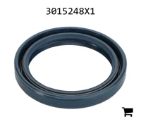 AGCO 3015248X1 Радиальное уплотнительное кольцо