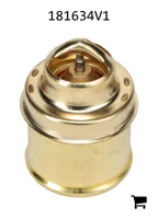 AGCO 181634V1 Термостат