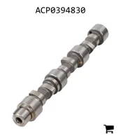 AGCO ACP0394830 Распредвал