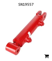 AGCO SN19557 Гидроцилиндр