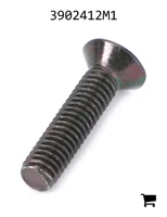 AGCO 3902412M1 Винт