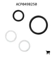 AGCO ACP0498250 Ремкомплект