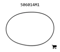 AGCO 506014M1 Уплотнение