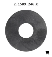 AGCO 2.1589.246.0 Шайба