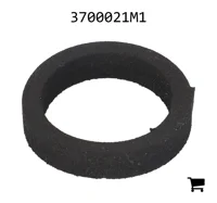 AGCO 3700021M1 Шайба