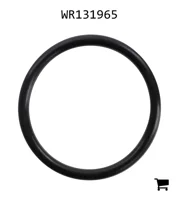 AGCO WR131965 Уплотнительное кольцо