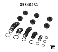 AGCO 058402R1 Ремкомплект