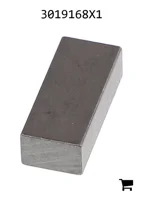 AGCO 3019168X1 Параллельный шпоночный паз