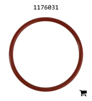 AGCO 1176031 Уплотнительное кольцо