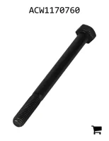 AGCO ACW1170760 Болт с шестигранной головкой