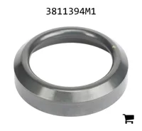 AGCO 3811394M1 Фиксатор